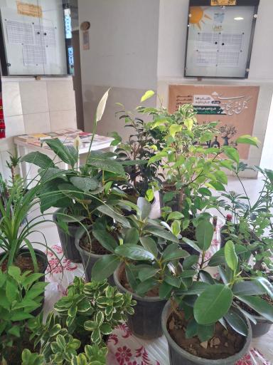 عکس فرهنگسرای جوان