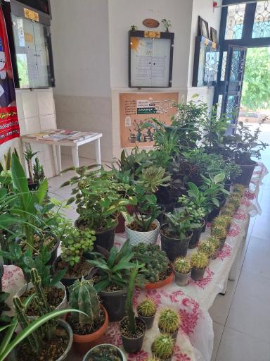 عکس فرهنگسرای جوان