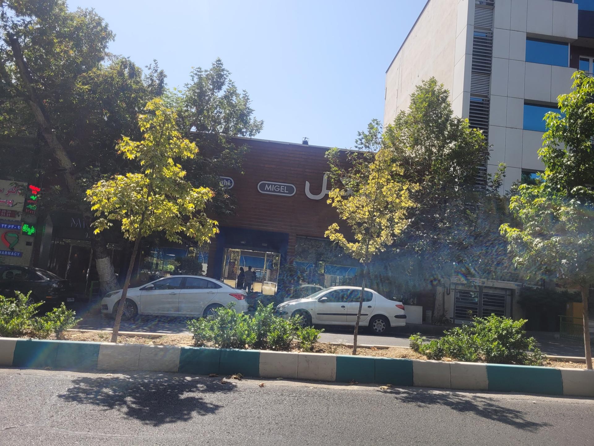 عکس نمایندگی دلونگی میگل فلر