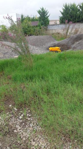 عکس گلخانه خاتون