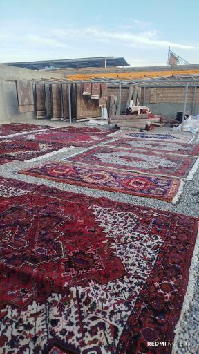 عکس قالیشویی حبیبی