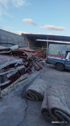 عکس قالیشویی حبیبی