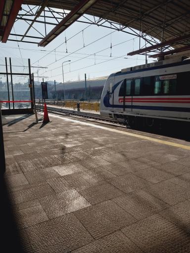 عکس ائل گؤلی