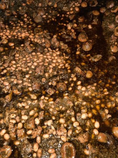 عکس کترینگ و آشپزخانه برادران طهماسبی