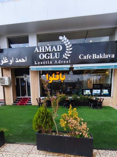 عکس باقلوا احمد اوغلو 