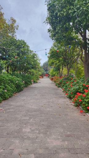 عکس مجتمع تفریحی بانک رفاه