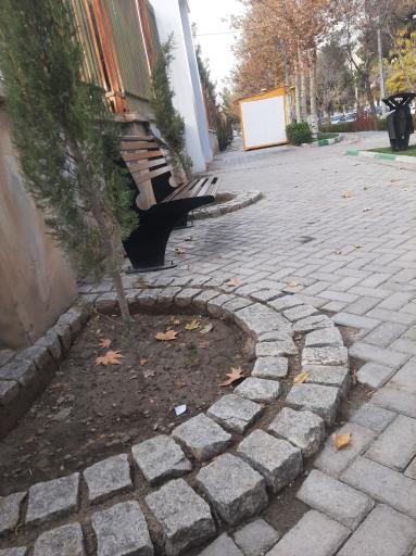 عکس  شهید بهشتی 17