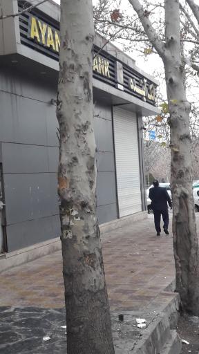 عکس بانک ملی ایران