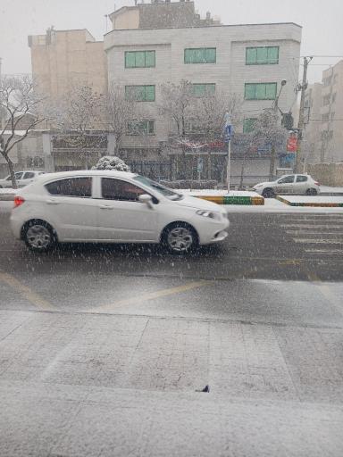 عکس  هاشمیه 14