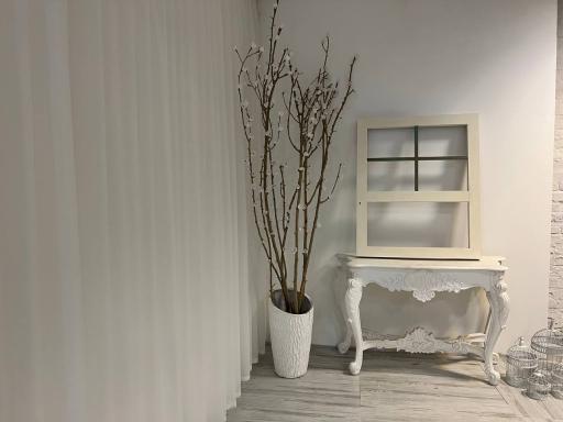 عکس آتلیه عکس مِنتیا 