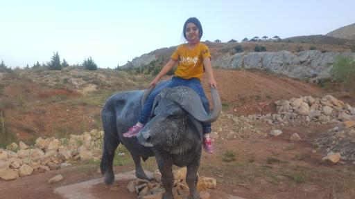 عکس برکه حیوانات پارک دراک