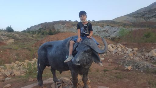 عکس برکه حیوانات پارک دراک