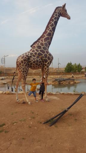 عکس برکه حیوانات پارک دراک