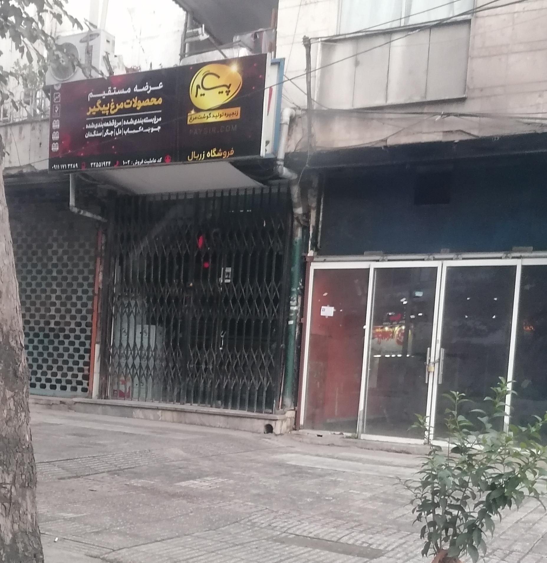 عکس فروشگاه مرغ پیگیر