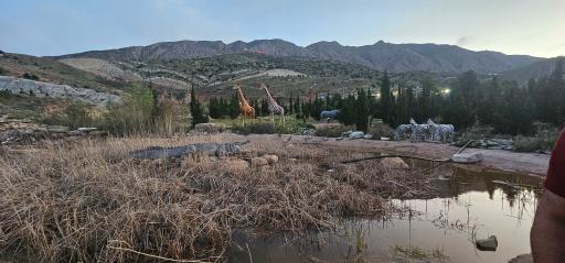 عکس برکه حیوانات پارک دراک