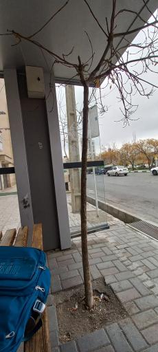 عکس رستگاری