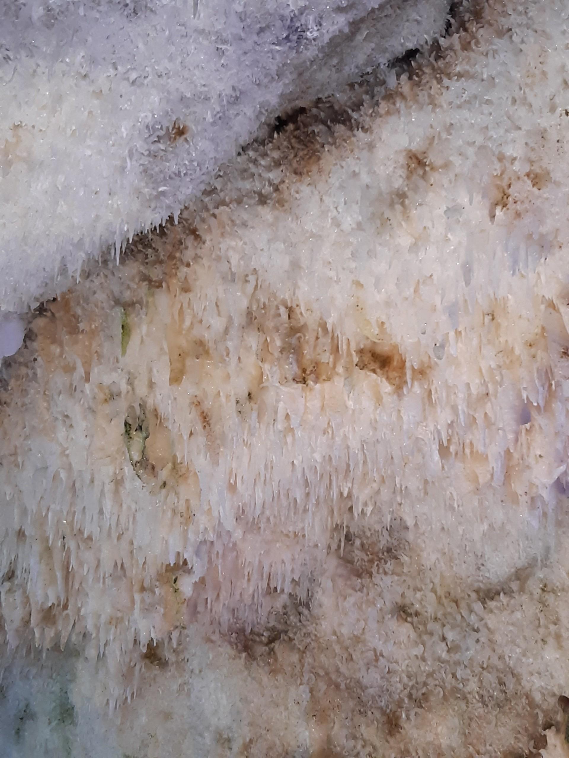 عکس کوه غار کتله خور