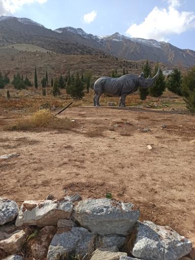 عکس برکه حیوانات پارک دراک