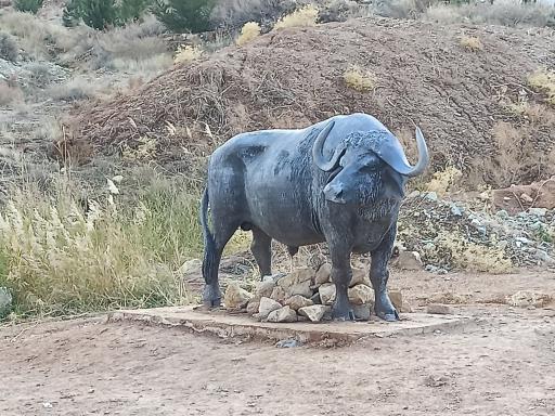 عکس برکه حیوانات پارک دراک