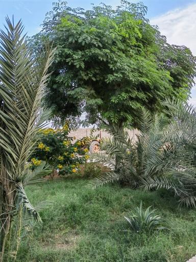 عکس مجموعه سوارکاری دیمچه