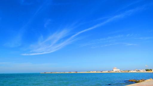 عکس بوستان مرجان