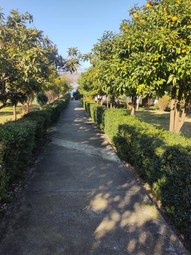 عکس مجتمع آموزشی، رفاهی نارنجی