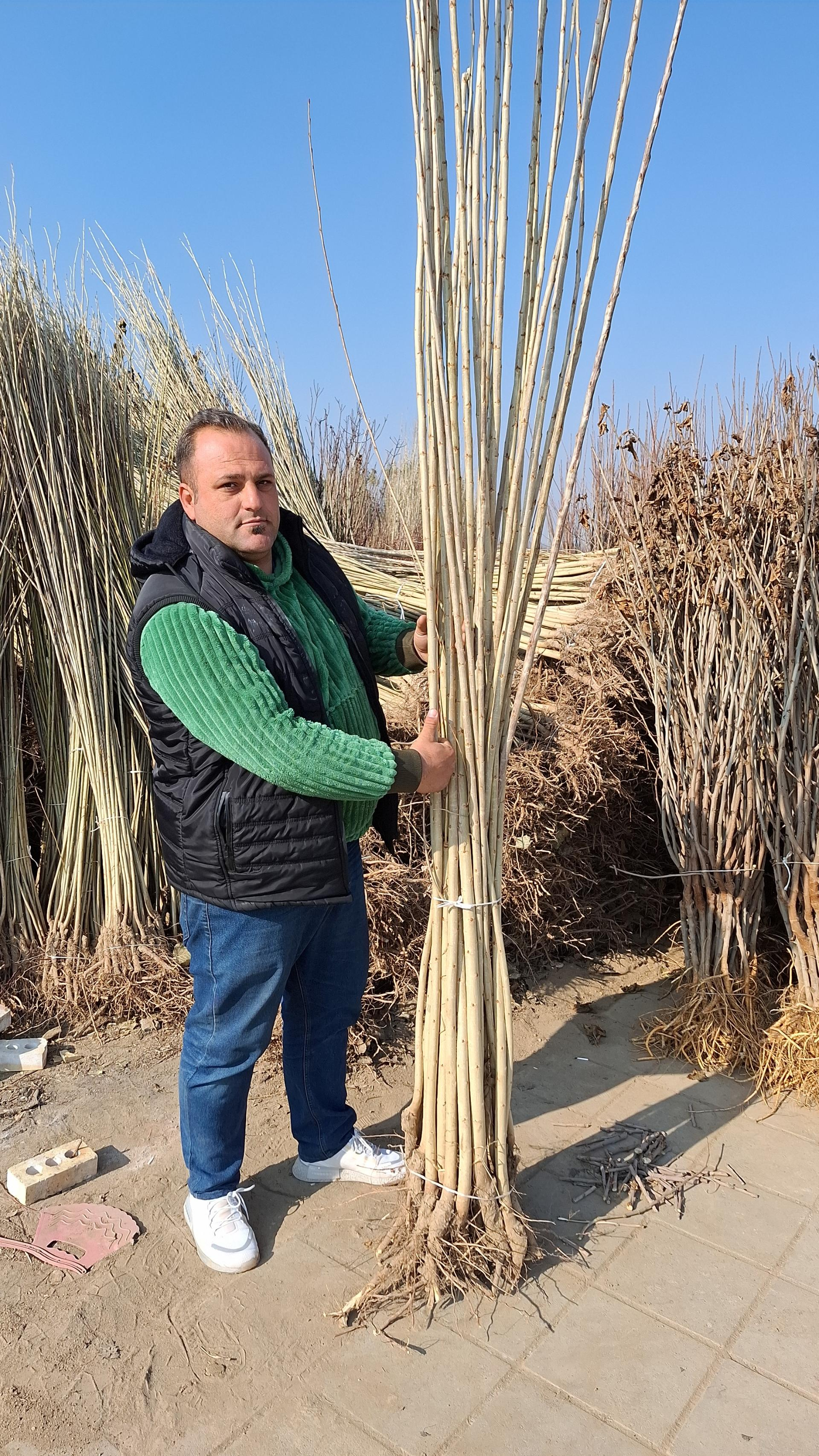 عکس دهکده مهندس نهال قاسمی