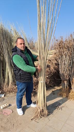 عکس دهکده مهندس نهال قاسمی