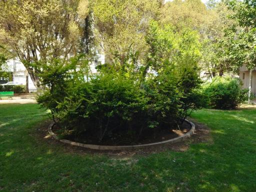 عکس بوستان بهار