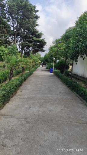 عکس مجتمع آموزشی، رفاهی نارنجی