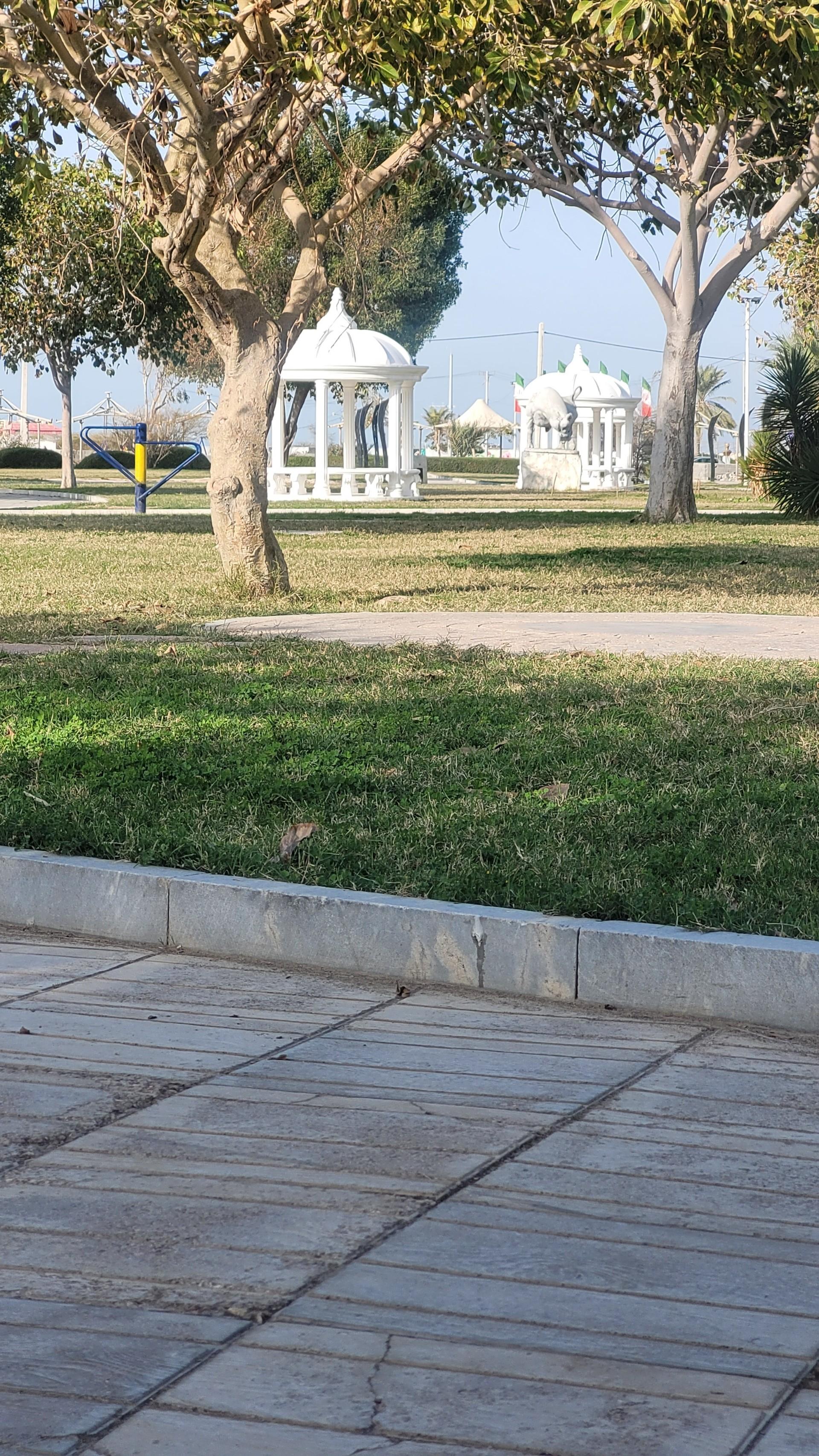 عکس بوستان مرجان