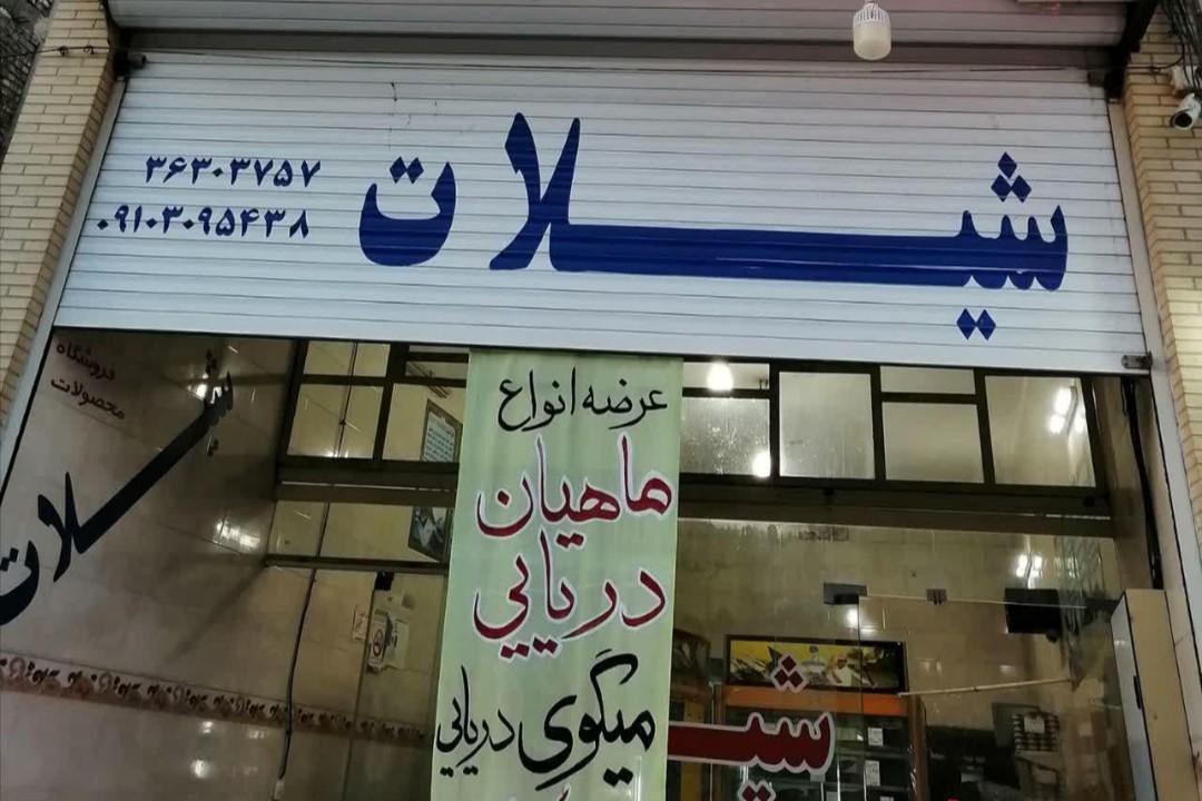 عکس فروشگاه شیلات