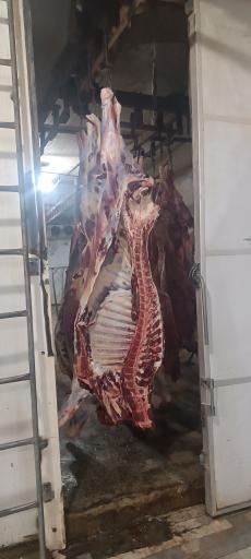 عکس دهکده گوشت زندی 