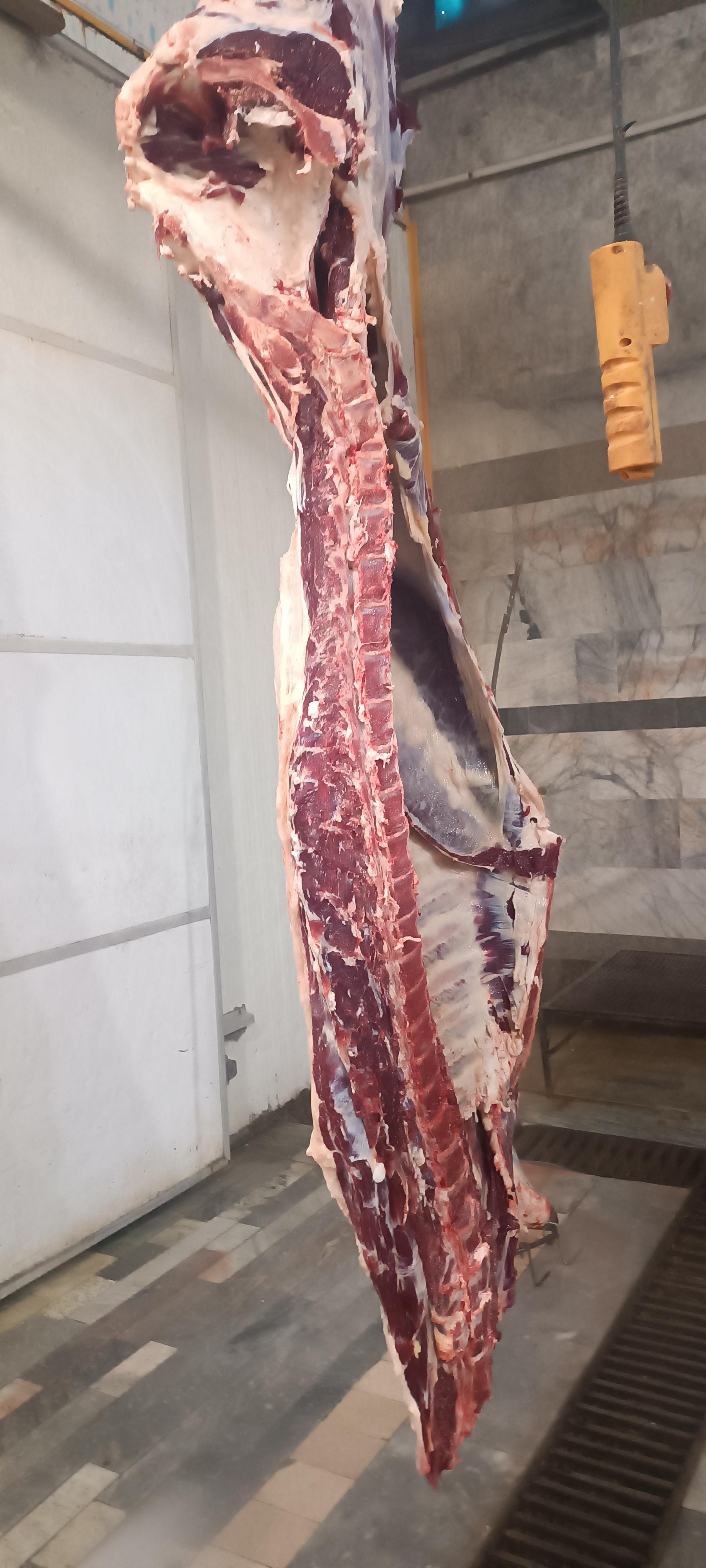 عکس دهکده گوشت زندی 