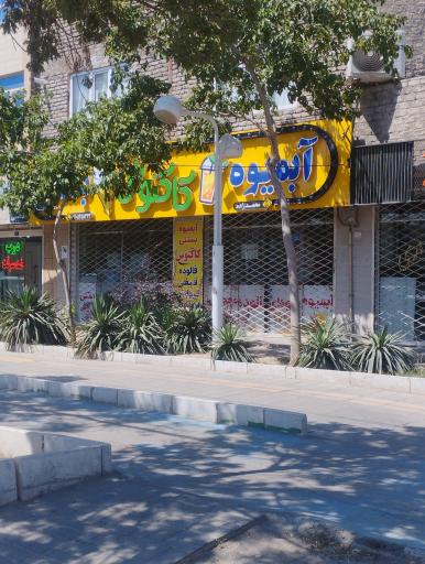 عکس آبمیوه و بستنی کاکتوس