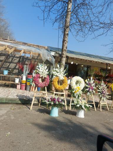 عکس آرامستان باغ رضوان