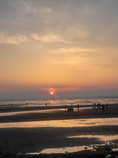 عکس بوستان مرجان