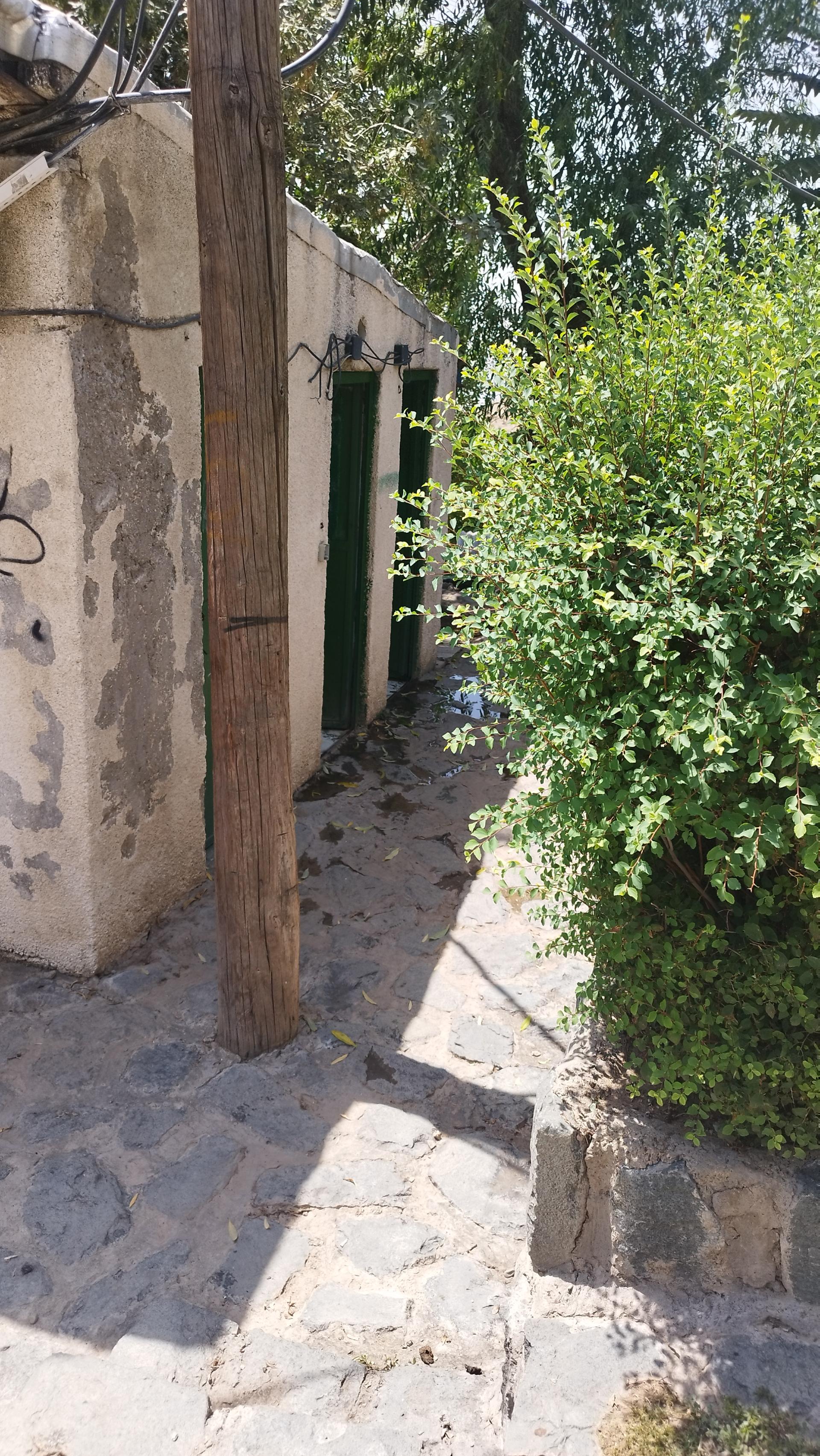 عکس سرویس بهداشتی شمالی جمشیدیه