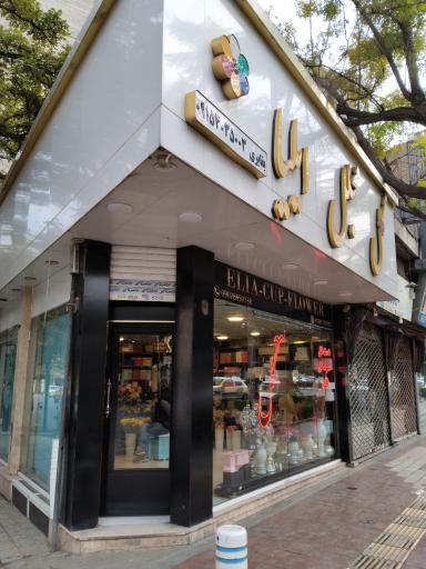 گل مجلل ایلیا (عرفان)