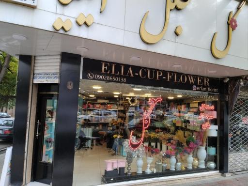 عکس گل مجلل ایلیا (عرفان)