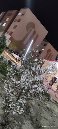 عکس مجتمع‌مسکونی‌دومان