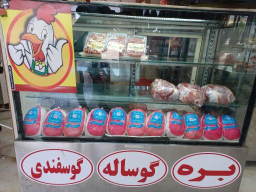 عکس پروتئین میلاد