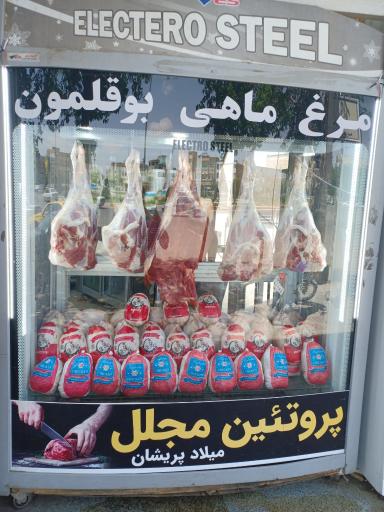 عکس پروتئین میلاد