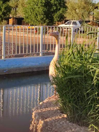 عکس باغ رویای مادر