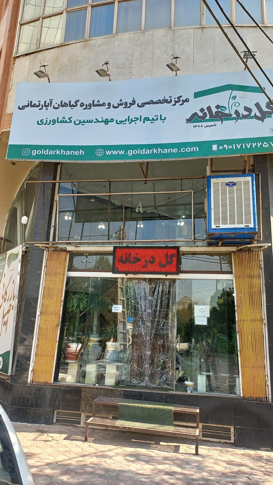 عکس گل در خانه