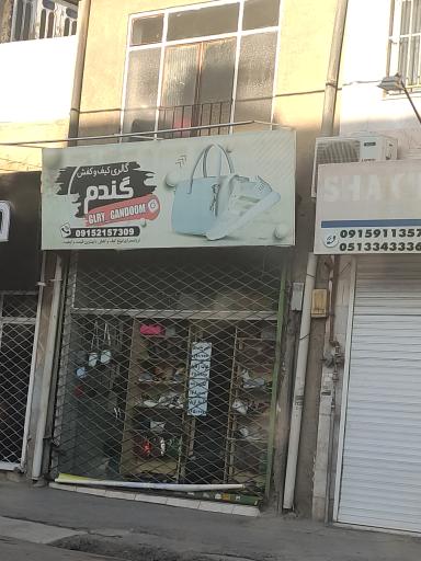 عکس گالری گندم