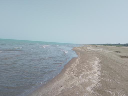 عکس ساحل دریای بهنمیر