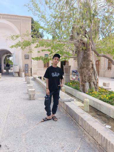 عکس باغ دولت آباد