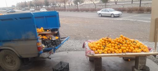 عکس سوپر میوه زالزالک