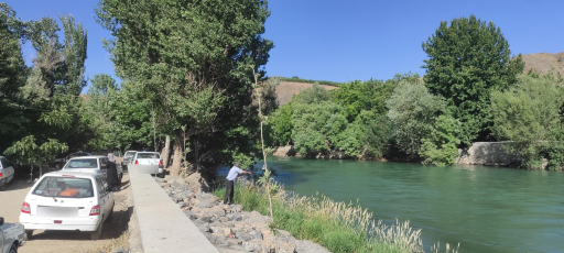 عکس باغ ویلا سنتی دلگشا